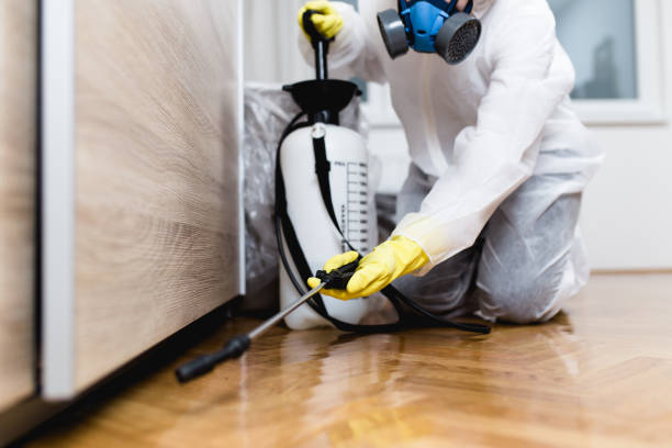 Best Pest Prevention Services  in Takoma Park, MD