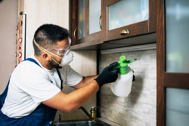 Best Pest Inspection Near Me  in Takoma Park, MD