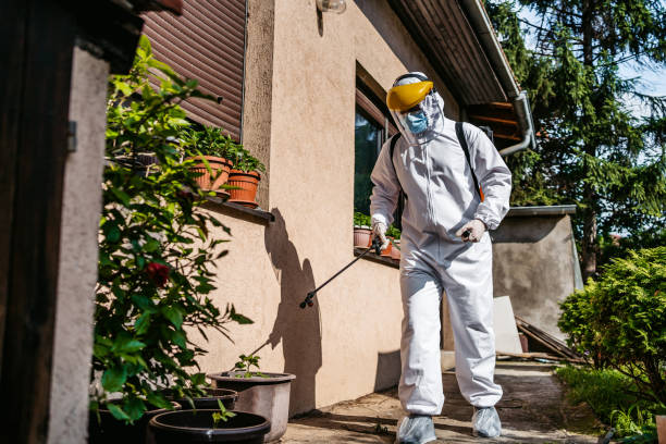 Best Mosquito Control Services  in Takoma Park, MD