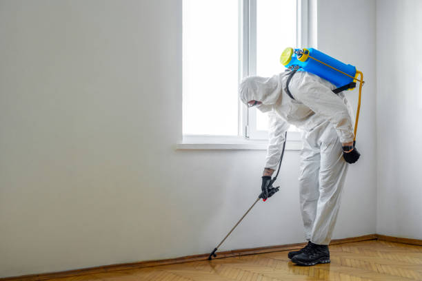 Best Residential Pest Control  in Takoma Park, MD